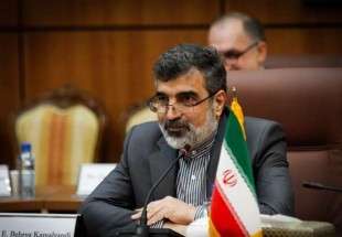 ایران دو دن کے اندر یورنیم کی افزودگی کو 20 فیصد تک لانے کی صلاحیت رکھتا ہے:بہروز کمالوندی