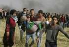 ​واکنش شورای پناهندگان نروژ به کشتار فلسطینیان در غزه
