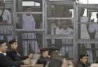 حكم بالمؤبد بحق 3 أشقاء في مصر ينتمون لـ"الإخوان المسلمين"