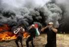 شهادت ۳ جوان فلسطینی به ضرب گلوله نظامیان صهیونیست در غزه