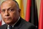 وزير الخارجية المصري رداً على مقترح أميركي: لن نرسل قواتنا إلى الخارج