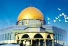 اتحاد طلبة العالم الاسلامي: الكيان الصهيوني سيلقى نفس مصير داعش