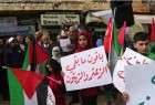 لقاء تضامني مع فلسطين في مدينة النبطية