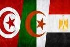 مصر وتونس والجزائر تؤكد رفضها أي تدخل خارجي في شؤون ليبيا