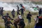 109 Palestinian protesters injured by Israeli live rounds, tear gas