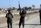 اعدام ۲ شهروند سوئدی در عراق به دست داعش