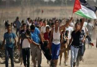 آمادگی قاهره برای کنفرانس بین‌المللی حمایت از غزه
