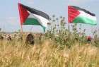 آیا فلسطینی ها زمینهای خود را فروختند؟