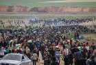 "العليا لمسيرات العودة" تدعو لإقامة صلاة العيد على حدود غزة