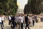 تعرض بی سابقه شهرک نشینان به مسجد الاقصی از آغاز سال 2018