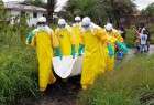 الكونغو الديمقراطية تعلن إنتشاراً جديداً لوباء الإيبولا