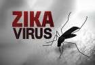 فيروس زيكا يسبب تشوهات خلقية للرضع