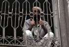 49 tortured to death in Emirati-run hidden prison in southern Yemen