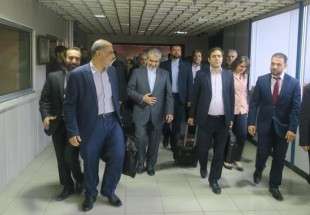 Iranian delegation in Syria for post-war "transformation"