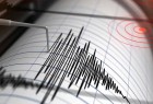 ​زلزله 5.9 ریشتری کرمانشاه را لرزاند/2 کشته و 241 مصدوم