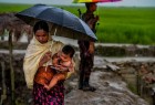 بیانیه الازهر به مناسبت یکمین سالگرد تراژدی مسلمانان روهینگیا