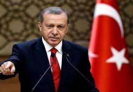 Erdogan vows to abandon dollar in trade, calls US ‘wild wolves’