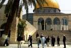 مستوطنون صهاينة يعتدون على المسجد الاقصى بحماية العدو الاسرائيلي