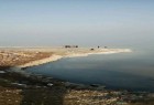 ۴۸۰ هکتار نهال‌کاری در اطراف دریاچه ارومیه