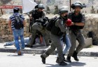 بازداشت 23 فلسطینی در کرانه باختری/تعرض دهها شهرک نشین صهیونیست به مسجد الاقصی