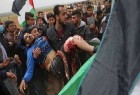 ​ شهادت سه فلسطینی در تظاهرات بازگشت روز جمعه