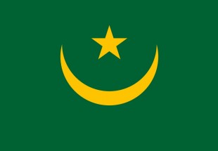موريتانيا.. الحزب الحاكم يتقدم بفارق كبير عن المعارضة في الانتخابات التشريعية والبلدية
