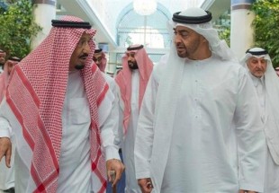 KSA, UAE turned OPEC into tool in hands of US