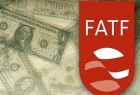 FATF روی مبادلات صرافی‌ها دست گذاشته بود/ ارائه اطلاعات صرافی‌ها باعث افزایش قیمت ارز شد