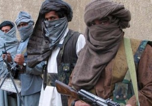 کشته شدن 42 نفر از طالبان در افغانستان