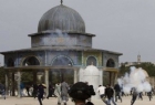 ​وزارت اوقاف فلسطین خواستار اقدام فوری برای حمایت از مسجد الاقصی شد