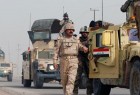 القوات العراقية تفكك  عدداً  من الشبكات الإرهابية في ديالى