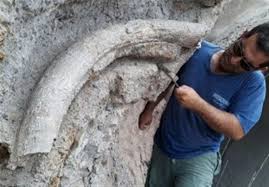 فیلم/ فسیل‌های بیست میلیون ساله در اردبیل!