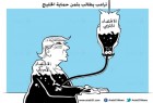ترامب يطلب حماية الدول الخليجية