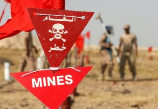 Les mines, autre fléau de la guerre saoudienne au Yémen