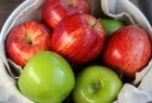 دراسة: قشور التفاح تقتل الخلايا السرطانية