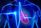 هل يمكن للتكنولوجيا التنبؤ بالنوبة القلبية قبل حدوثها؟