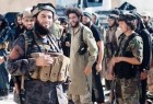 برخی قصد انتقال تروریست ها از ادلب به عراق را دارند