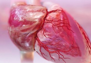 ​درمان نارسایی قلبی با کشف یک مولکول جدید