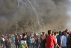Palestinian protesters killed in Gaza(1)  <img src="/images/picture_icon.png" width="13" height="13" border="0" align="top">