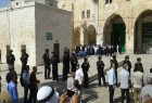 یورش مجدد شهرک نشینان به مسجد الاقصی