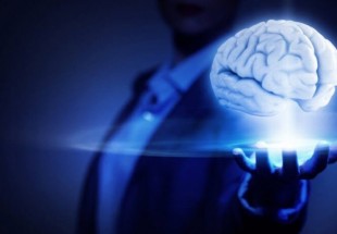 دراسة.. عقلك عبارة عن 100 مليار كمبيوتر تعمل معا