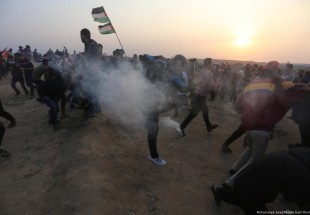 Israel injures 13 Palestinians in Gaza solidarity protests