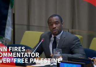 CNN commentator fired for pro-Palestine UN speech