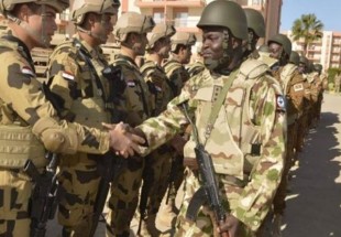 مانور مشترک مصر و سه کشور آفریقایی برای «مبارزه با تروریسم»