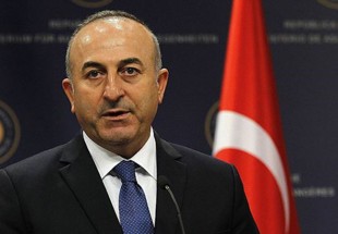 Turkey says would work with Syria