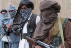 تیم مذاکره کننده افغانستان با طالبان در امارات دیدار می کنند