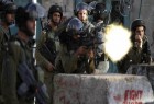 یورش صهیونیست‌ها به منطقه الطمون/ ۱۰ فلسطینی زخمی شدند