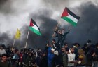 3 Palestinians dead, several injured in Gaza border clashes