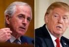 Corker ‘badmouths me for wanting to bring’ US troops home: Trump
