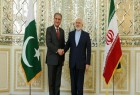ظريف يبحث مع نظيره الباكستاني في طهران العلاقات الثنائية وتطورات المنطقة